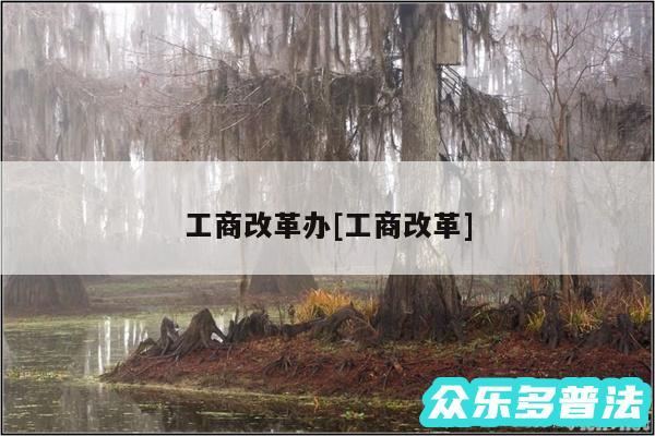工商改革办及工商改革