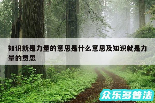 知识就是力量的意思是什么意思及知识就是力量的意思