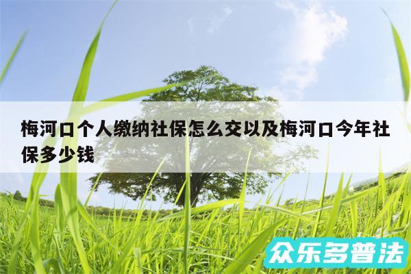 梅河口个人缴纳社保怎么交以及梅河口今年社保多少钱