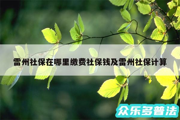 雷州社保在哪里缴费社保钱及雷州社保计算