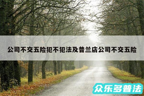 公司不交五险犯不犯法及普兰店公司不交五险