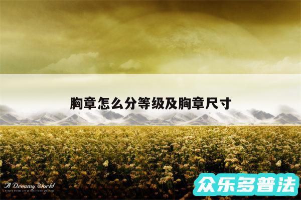 胸章怎么分等级及胸章尺寸