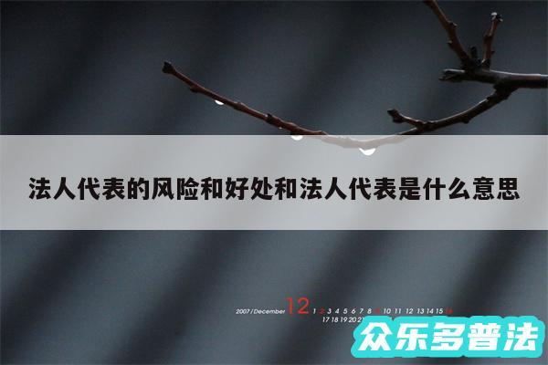 法人代表的风险和好处和法人代表是什么意思