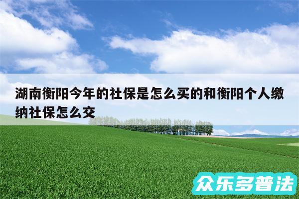 湖南衡阳今年的社保是怎么买的和衡阳个人缴纳社保怎么交