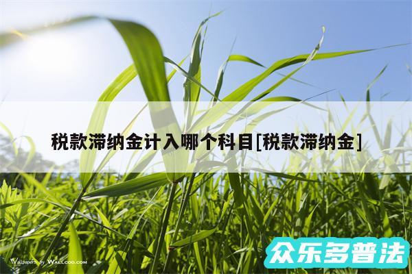 税款滞纳金计入哪个科目及税款滞纳金