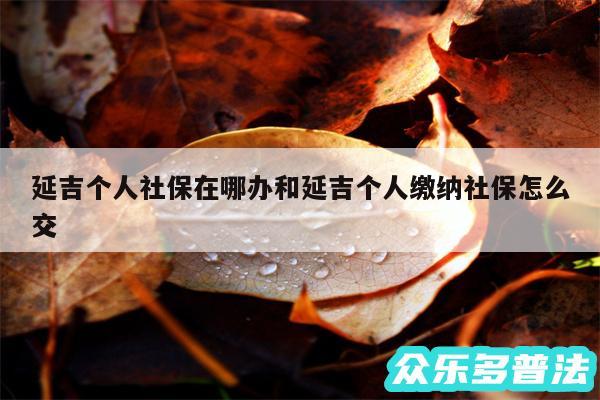 延吉个人社保在哪办和延吉个人缴纳社保怎么交