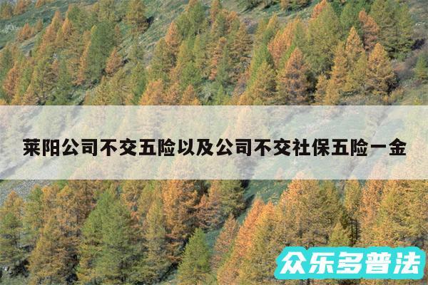 莱阳公司不交五险以及公司不交社保五险一金