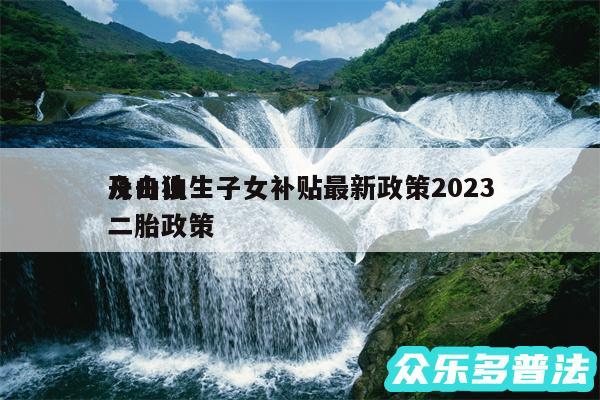 舟山独生子女补贴最新政策2024
及舟山二胎政策