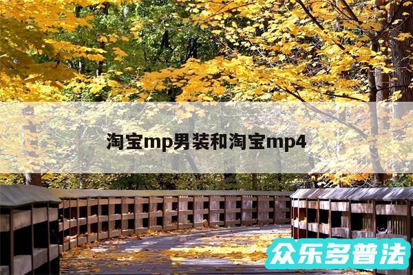 淘宝mp男装和淘宝mp4