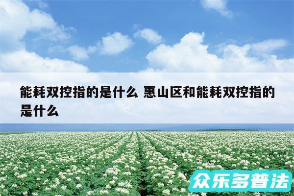 能耗双控指的是什么 惠山区和能耗双控指的是什么