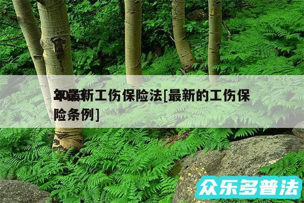 2024
年最新工伤保险法及最新的工伤保险条例