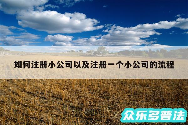 如何注册小公司以及注册一个小公司的流程