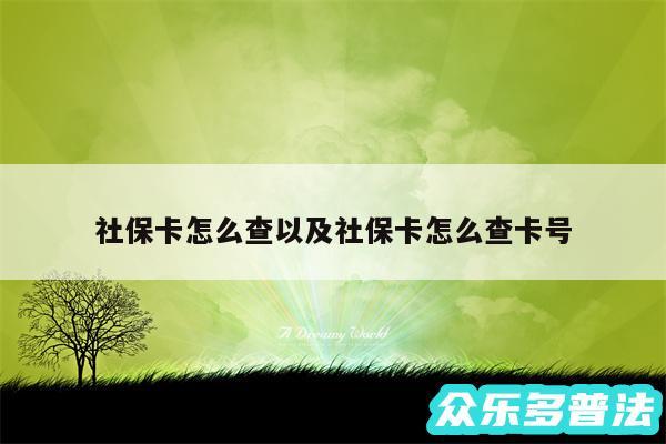 社保卡怎么查以及社保卡怎么查卡号