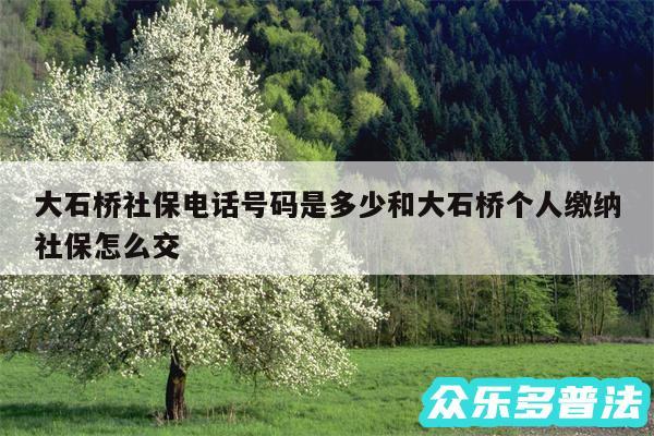 大石桥社保电话号码是多少和大石桥个人缴纳社保怎么交