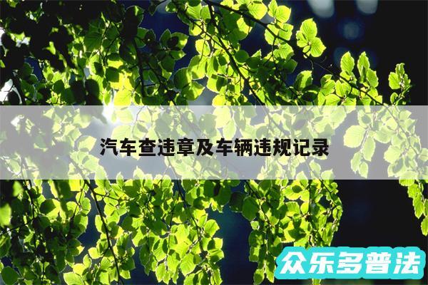 汽车查违章及车辆违规记录