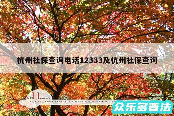 杭州社保查询电话12333及杭州社保查询