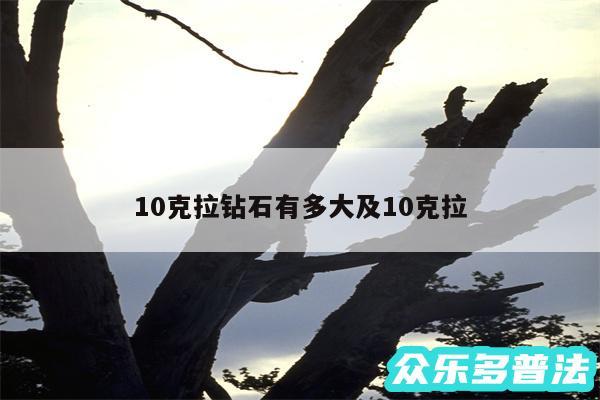 10克拉钻石有多大及10克拉