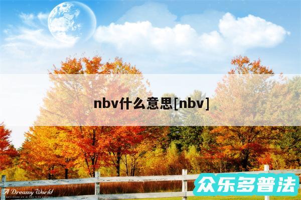 nbv什么意思及nbv