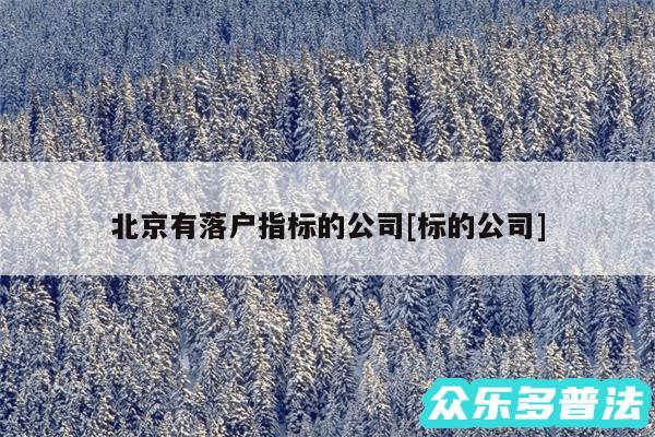 北京有落户指标的公司及标的公司