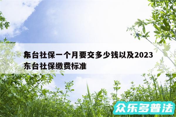 东台社保一个月要交多少钱以及2024
年东台社保缴费标准