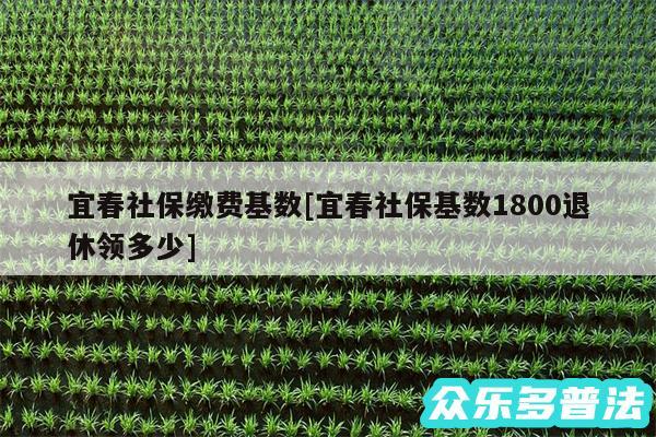 宜春社保缴费基数及宜春社保基数1800退休领多少