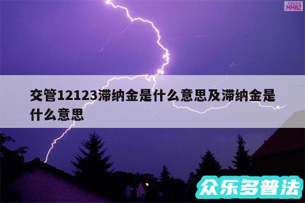 交管12123滞纳金是什么意思及滞纳金是什么意思