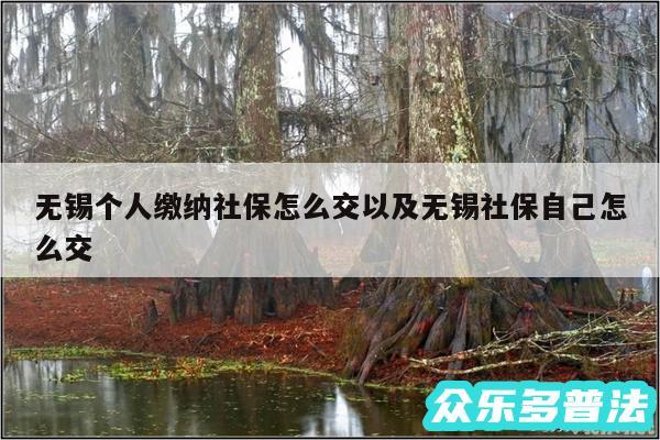 无锡个人缴纳社保怎么交以及无锡社保自己怎么交