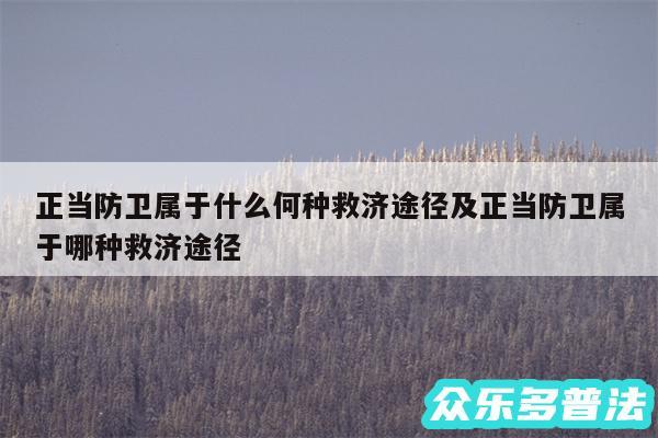 正当防卫属于什么何种救济途径及正当防卫属于哪种救济途径