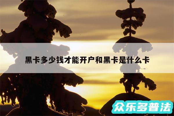 黑卡多少钱才能开户和黑卡是什么卡