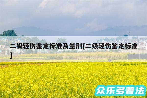 二级轻伤鉴定标准及量刑及二级轻伤鉴定标准