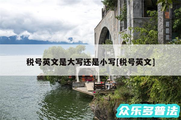 税号英文是大写还是小写及税号英文