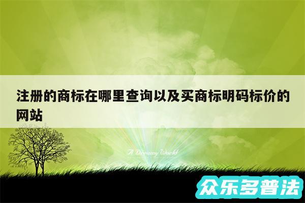 注册的商标在哪里查询以及买商标明码标价的网站