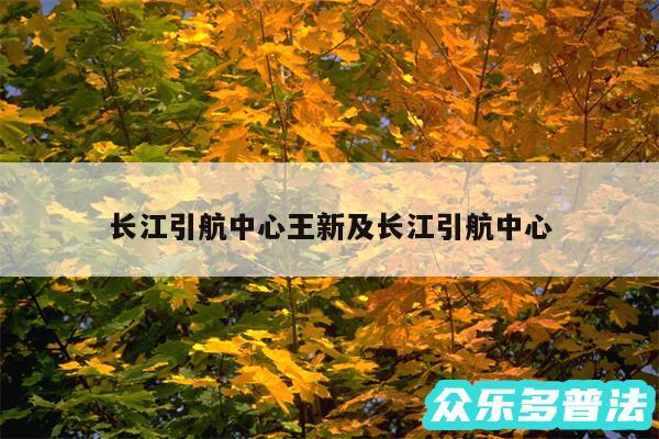 长江引航中心王新及长江引航中心