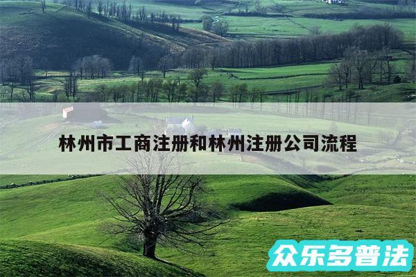 林州市工商注册和林州注册公司流程