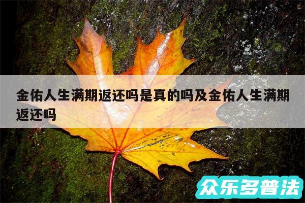 金佑人生满期返还吗是真的吗及金佑人生满期返还吗