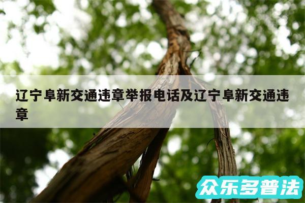 辽宁阜新交通违章举报电话及辽宁阜新交通违章