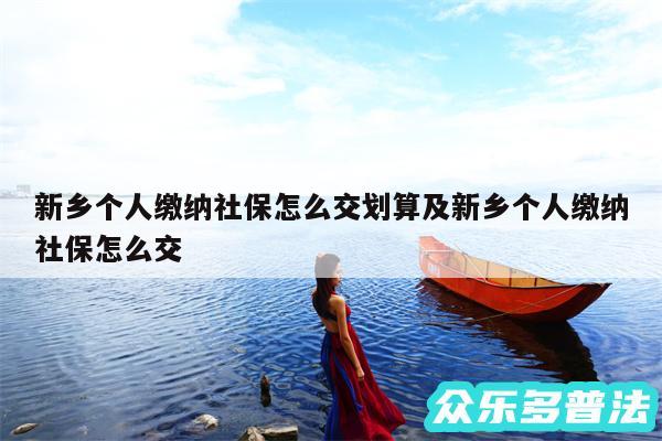 新乡个人缴纳社保怎么交划算及新乡个人缴纳社保怎么交