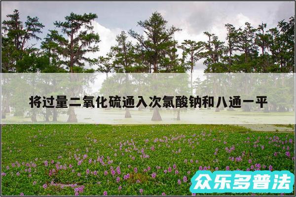 将过量二氧化硫通入次氯酸钠和八通一平