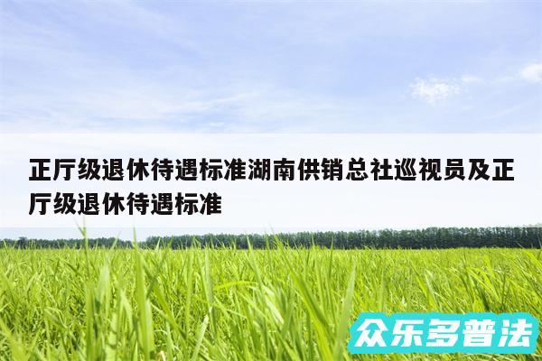 正厅级退休待遇标准湖南供销总社巡视员及正厅级退休待遇标准