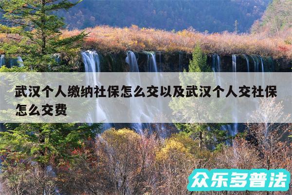 武汉个人缴纳社保怎么交以及武汉个人交社保怎么交费