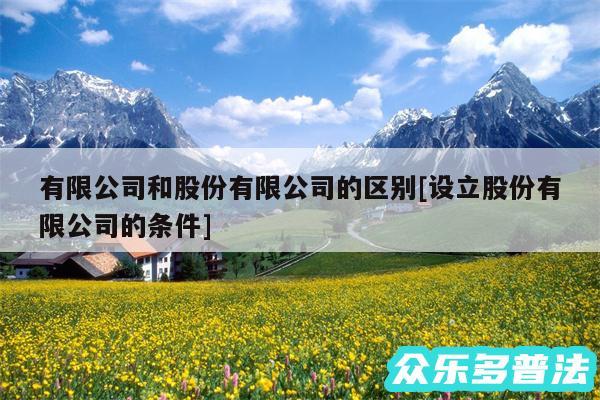 有限公司和股份有限公司的区别及设立股份有限公司的条件