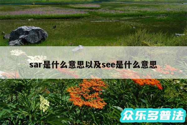 sar是什么意思以及see是什么意思