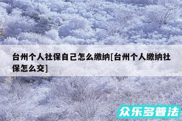 台州个人社保自己怎么缴纳及台州个人缴纳社保怎么交