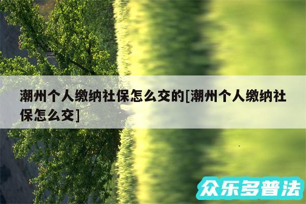 潮州个人缴纳社保怎么交的及潮州个人缴纳社保怎么交