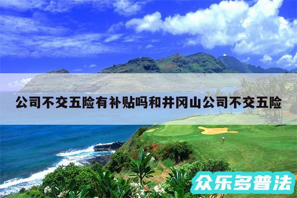 公司不交五险有补贴吗和井冈山公司不交五险