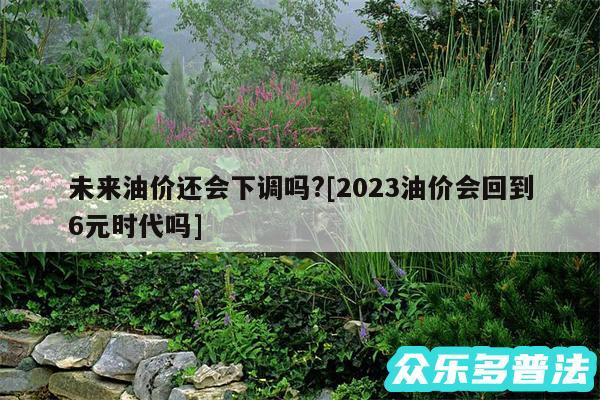 未来油价还会下调吗?及2024油价会回到6元时代吗