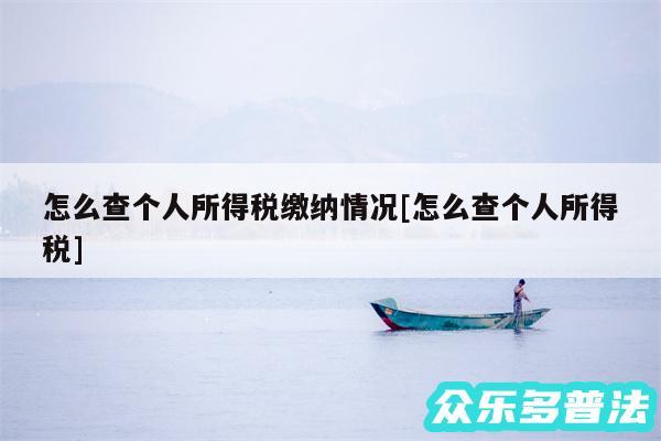 怎么查个人所得税缴纳情况及怎么查个人所得税