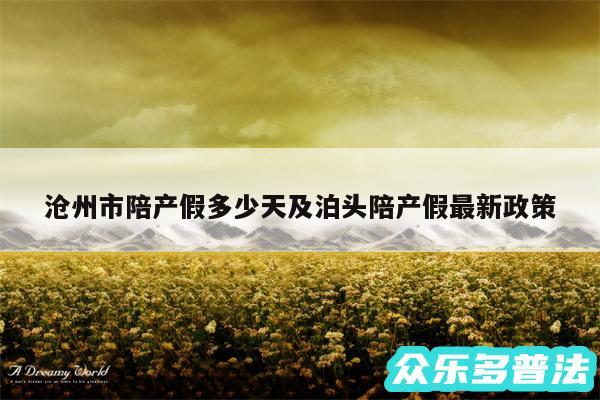 沧州市陪产假多少天及泊头陪产假最新政策