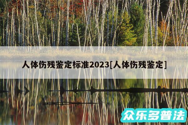 人体伤残鉴定标准2024及人体伤残鉴定