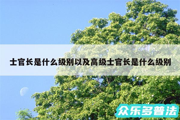 士官长是什么级别以及高级士官长是什么级别